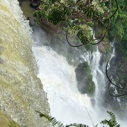 The second trail let you to the top of some falls