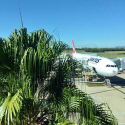 That plant wasnt there when i was supposed to board.....