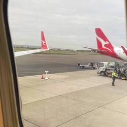A very aussie airport view