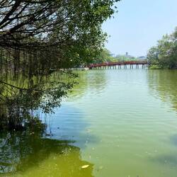 Morning Sunlight Bridge