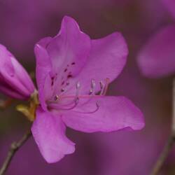 Und immer noch ein Auge übrig für die kleinen schönen Dinge am Wegesrand