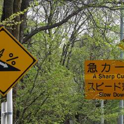 Steile und rasante Abfahrt