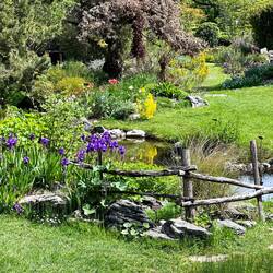 Beautiful Rock Gardens