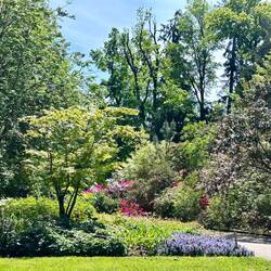 View from my lunch Cafe table