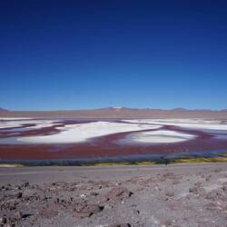 Laguna Colorada mit Flamingos😍