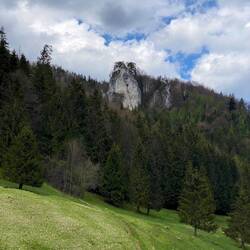 da entdeckt man sowas