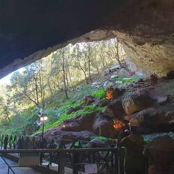Das Ende der Grotte führt in den Wald