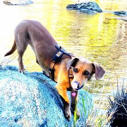 Emma genießt den großen Abenteuerspielplatz und hat viel zu erkunden.