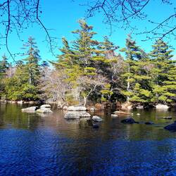 Wir können uns kaum satt sehen