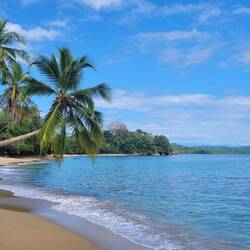 Unser Lieblingsstrand Playa Punta Uva