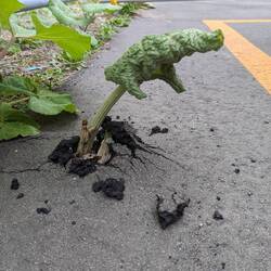 Erinnert irgendwie an Peter Lustig