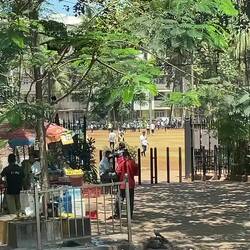 VIDEO- Overall History & Cricket