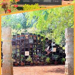 The Edible Pavillion