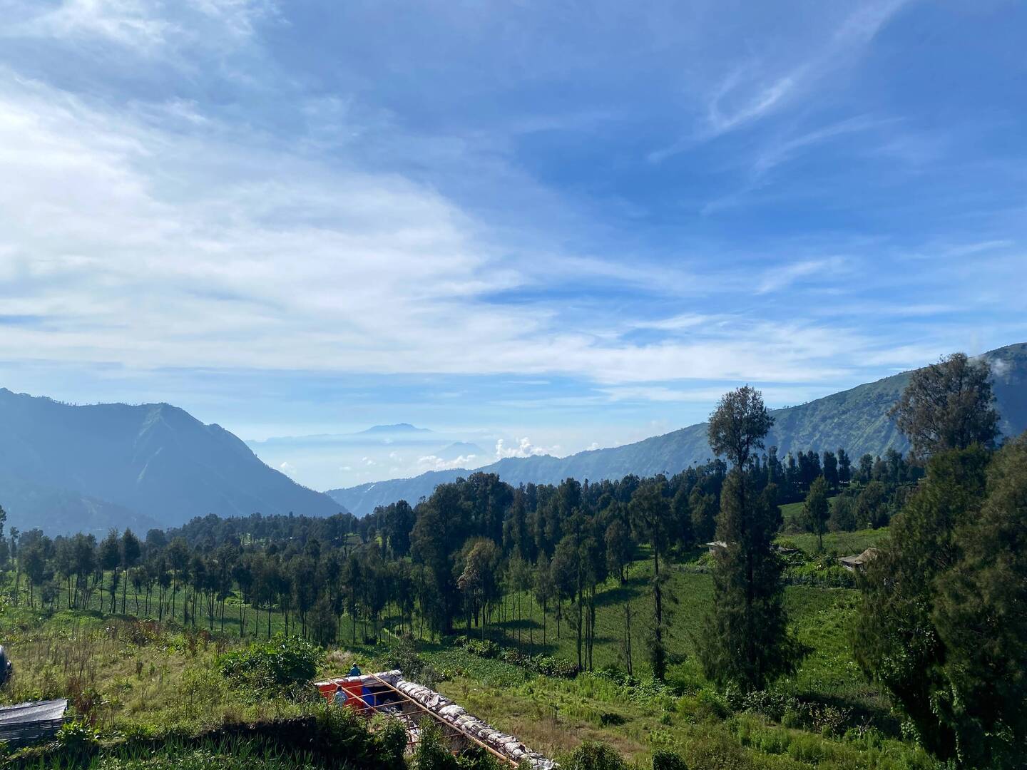 Frühstücksblick 🥰
