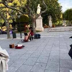 Harpist busking