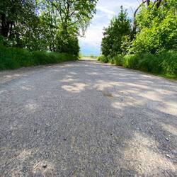 ganz allein auf weiter Flur