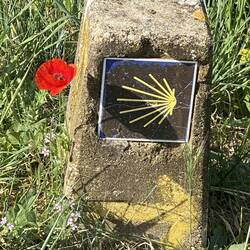 I love poppies but it was also just sitting so nicely beside one of the many markers leading the way
