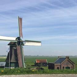 Lots of windmills here