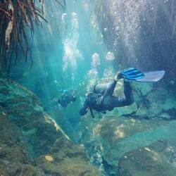 Casa Cenote