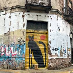 Cats look different in Buenos Aires 🤪