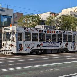 Un vieux tram mais très propre