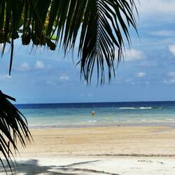 Julia geht schnorcheln 💙