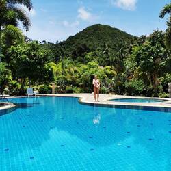 Wunderschönes grünes Hinterland