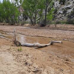Unsere Brücke über den Bach..