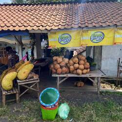 Die absolut riesigsten Jack-Fruits 🤯