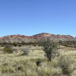 The ranges as you drive in, they go as far as the eye can see