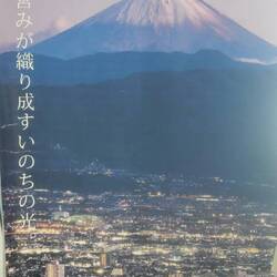 Der Fuji wäre eigentlich bei schönen Wetter vom Seeufer aus zu sehen