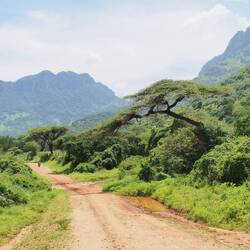 Lovely back road of the Usambaras