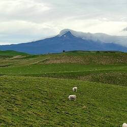 Sur la route de Wellington