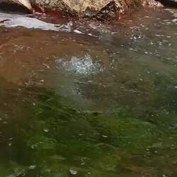 Freigesetzte Gase aus dem Vulkansee