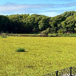 wo war das versprochene Wasser??