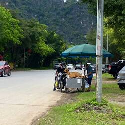 Ja das ist eine gegrillte Ziege 🙈