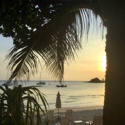 David's early morning view