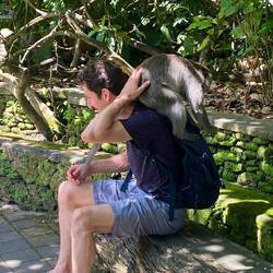 Monkey tries to open backpack / Affe versucht den Rucksack zu öffnen