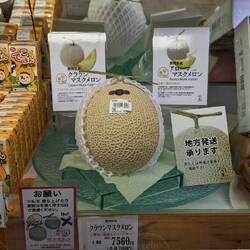 Eine dieser berühmten, sündhaft teuren Honigmelonen. 7560¥ = 51,50€ (ja, richtig gelesen)