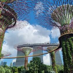 Die Supertrees.