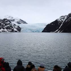 Holgate Gletscher, beachte das Schiff am Fuss des Gletschers