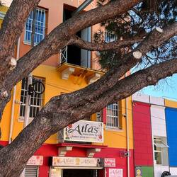 Die Engländer haben sich eingebildet, dass jedes Haus eine andere Farbe haben muss.