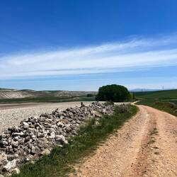 Changing landscap - Maseta