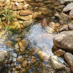 Noch lugt aus manchen Ecken Wasser hervor