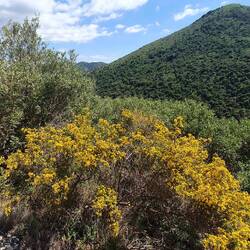 Immer noch alles in bunter Blüte