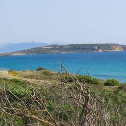 Endlich wieder am Meer