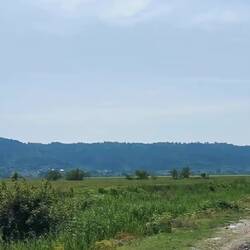 Willkommen in Albanien - hört ihr das? Und bis zu Ende gucken 😄