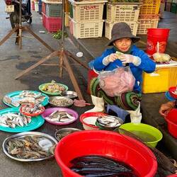 Der Fisch ist natürlich gekühlt (nicht)