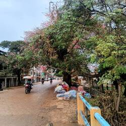 Trinidad