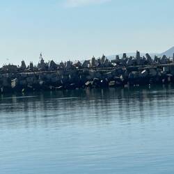 The harbour breakwater on the island